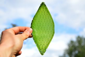 Iată cum o “frunză” artificială va putea crea combustibil ; O inovaţie marca Harvard